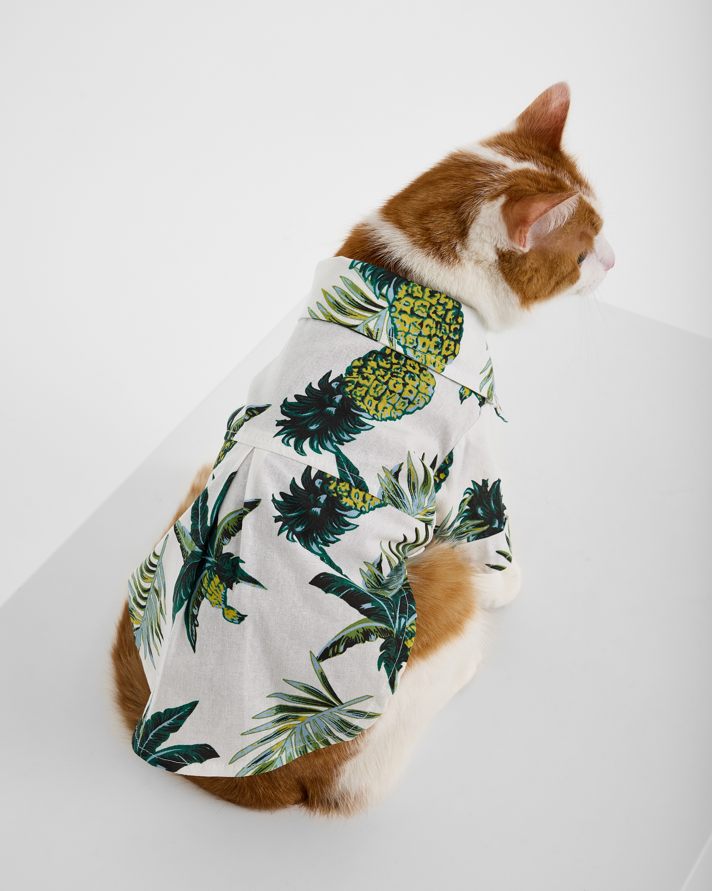 Рубашка для собак и кошек Зоозавр - фото 12