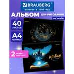 Альбом Brauberg А4 40 лист. 2 шт.