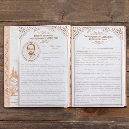 Родословная книга Sima-Land «Древо» 50 листов 30.5 х 22.5 см
