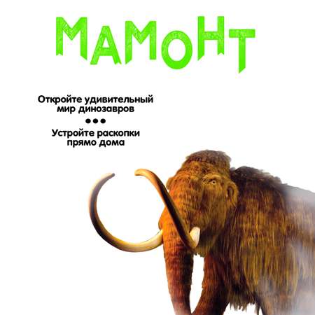 Набор для раскопок Bondibon