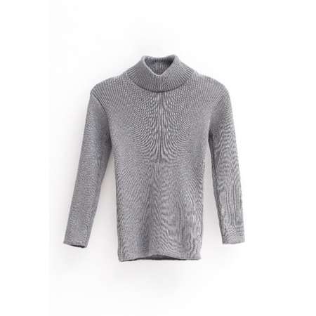 Водолазка MINIDINO