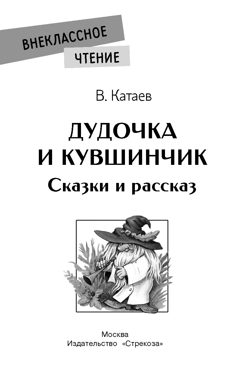 Книга СТРЕКОЗА Внеклассное чтение - фото 2