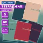 Общая тетрадь Brauberg клетка 48 лист. 5 шт.