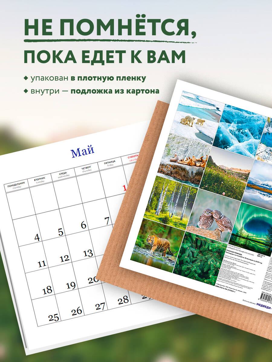Календарь Эксмо Русская природа. Календарь настенный на 16 месяцев на 2026 год (300х300 мм) - фото 2