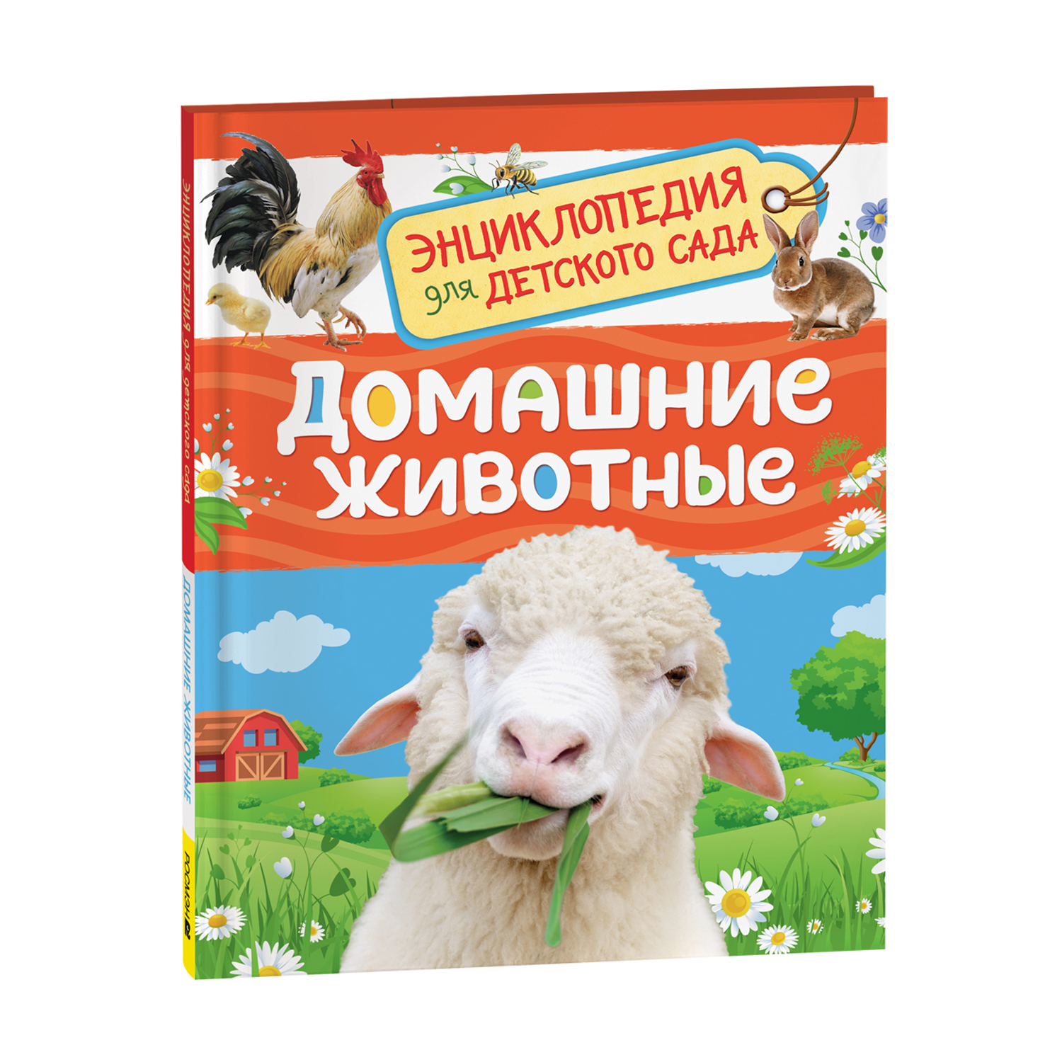 Книга Росмэн Домашние животные Энциклопедия для детского сада - фото 1
