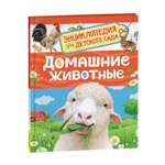 Книга Росмэн Домашние животные Энциклопедия для детского сада
