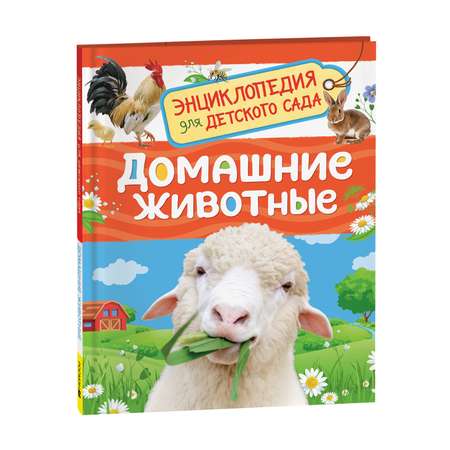 Книга Росмэн Домашние животные Энциклопедия для детского сада