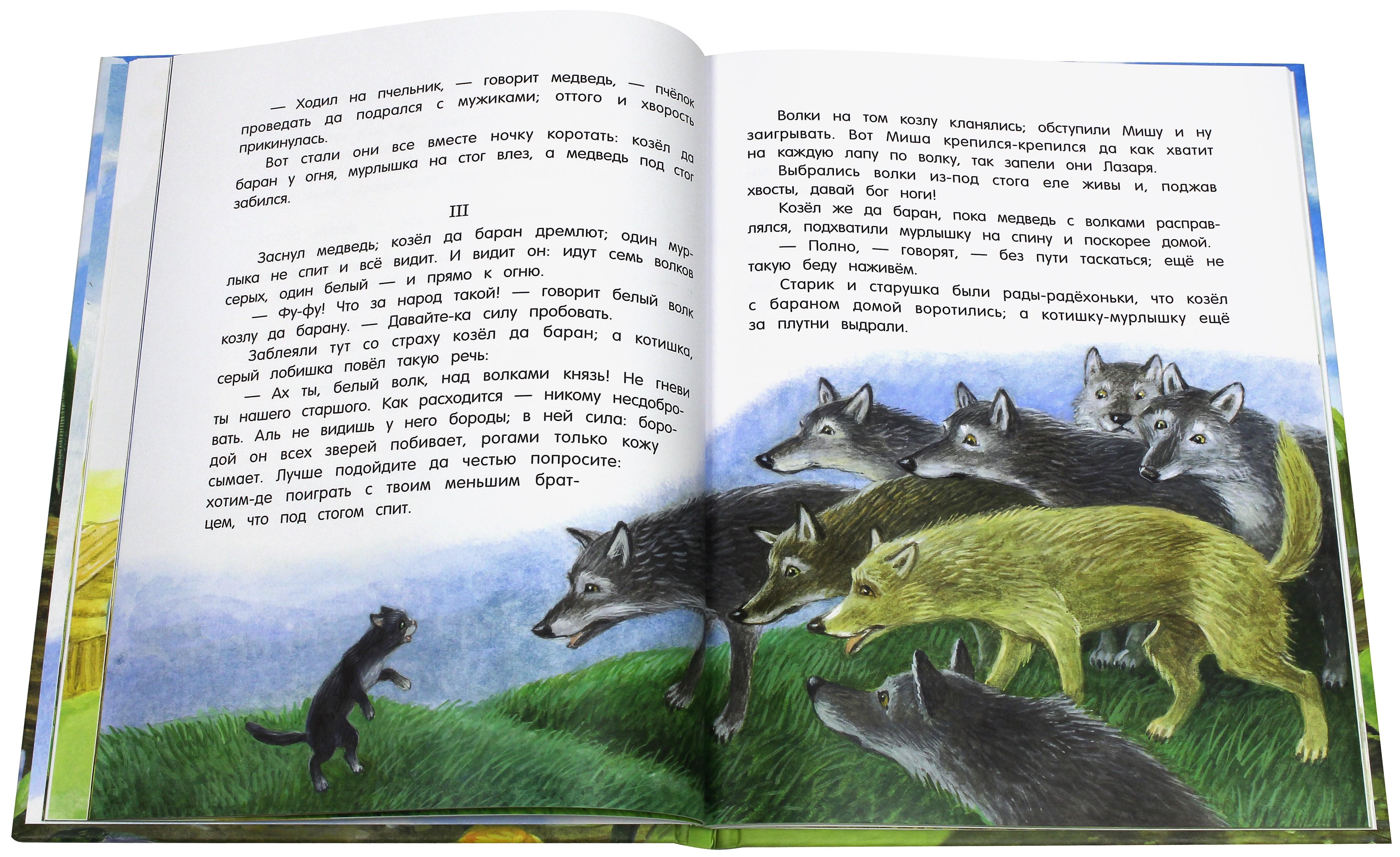Книга Лабиринт Лягушка путешественница - фото 5