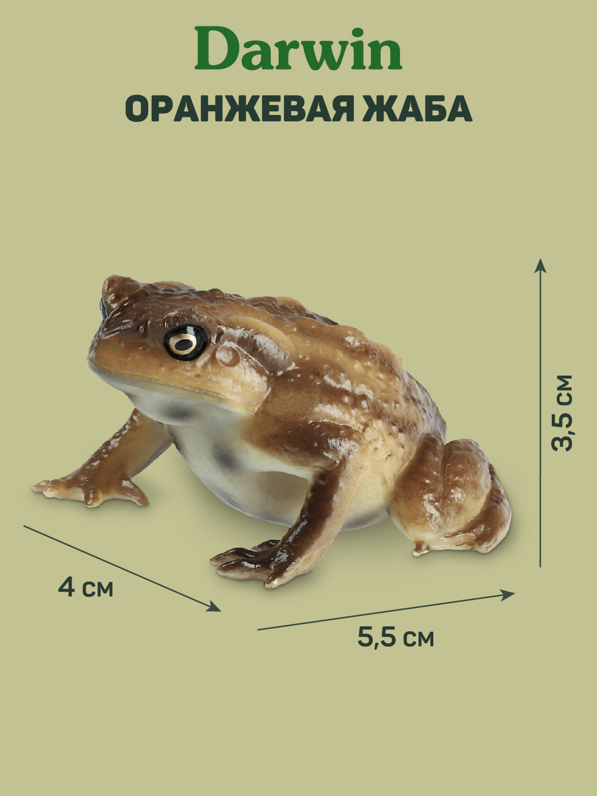 Фигурка DARWIN Животные Жаба - фото 3