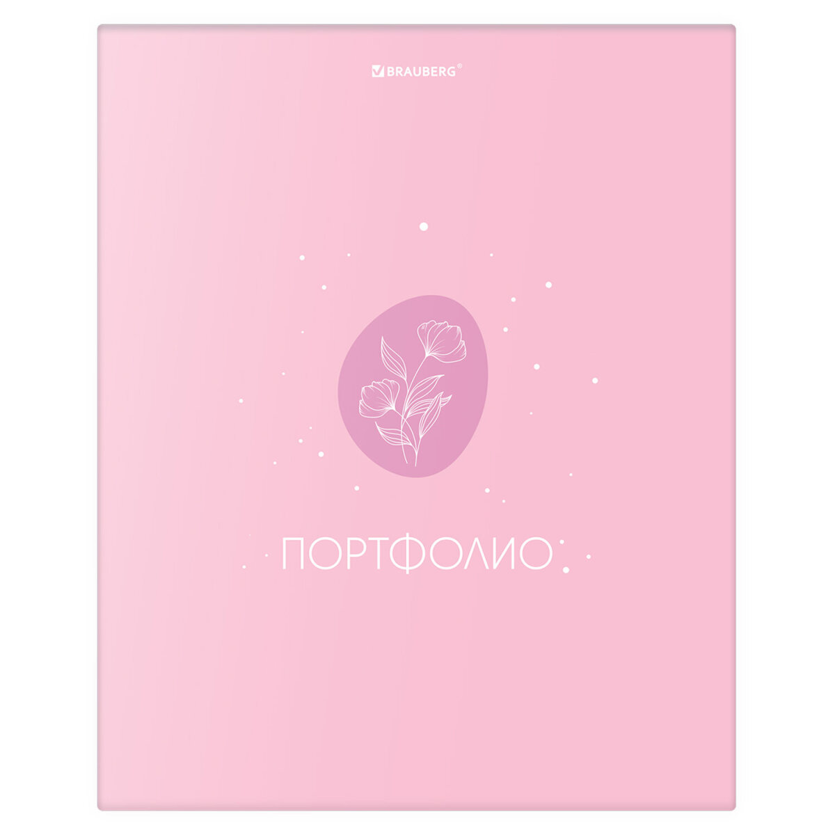 Портфолио школьника Brauberg папка А4 на кольцах 20 файлов для девочки - фото 2