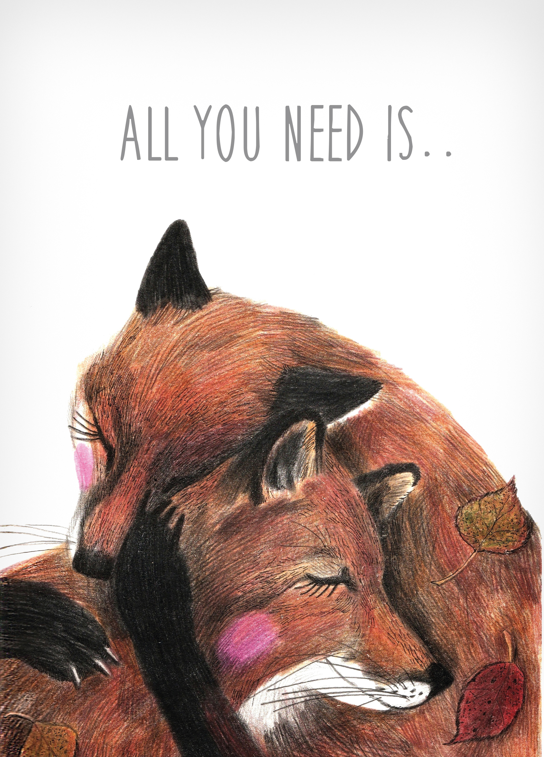 Тетрадь Комус клетка - фото 1