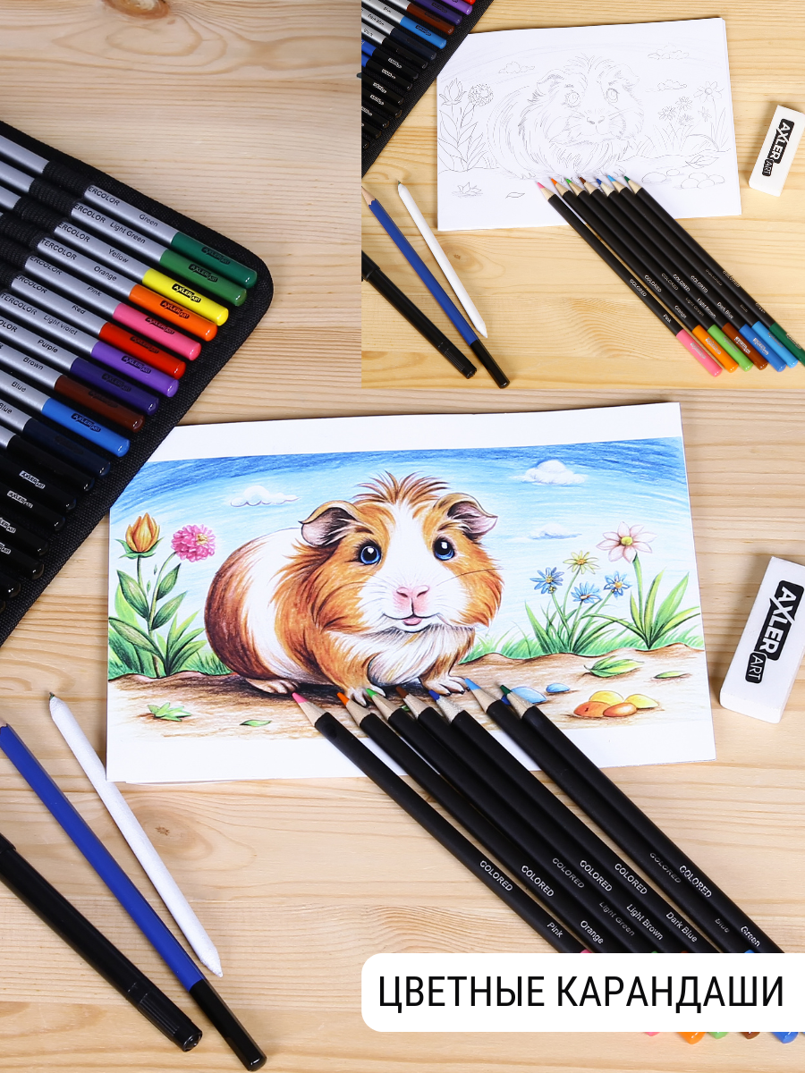 Карандаши эскизные AXLER 71 шт. - фото 5