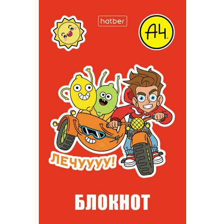 Блокнот Hatber 48 лист.