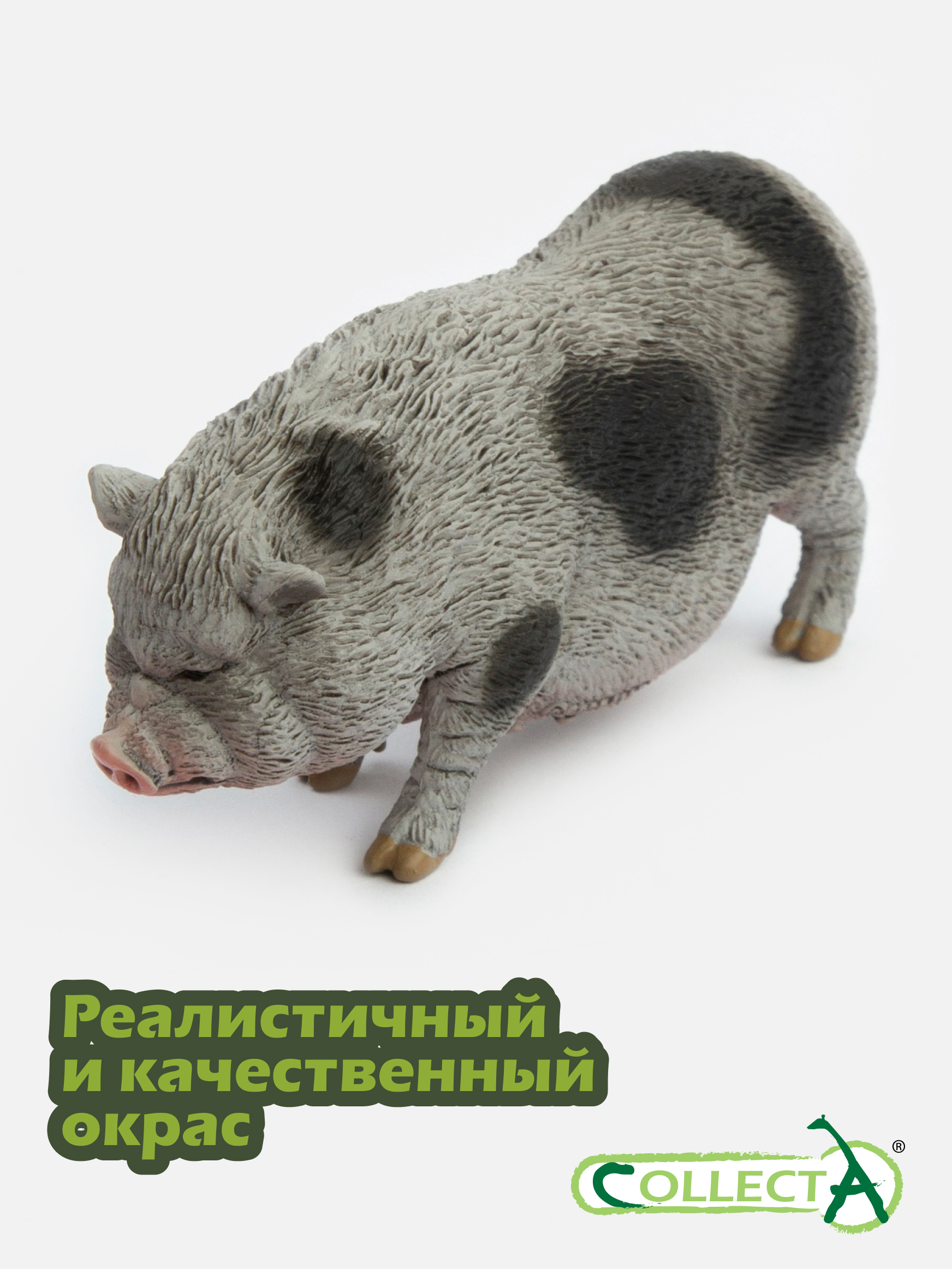 Фигурка Collecta Вьетнамская вислобрюхая свинья - фото 4