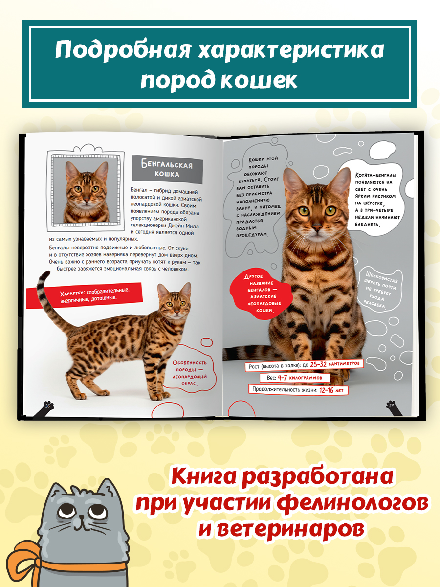 Книга Проф-Пресс детская энциклопедия Кошки. Большие секреты маленьких хищников - фото 5