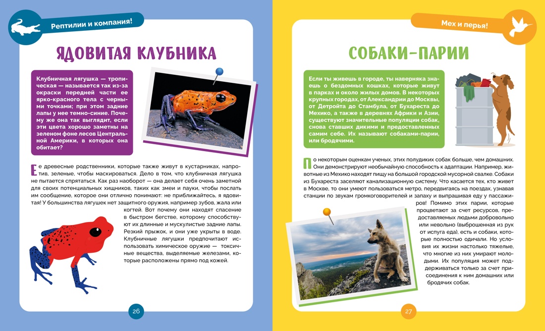 Книга Махаон Альбуи В. Невероятные животные - фото 9