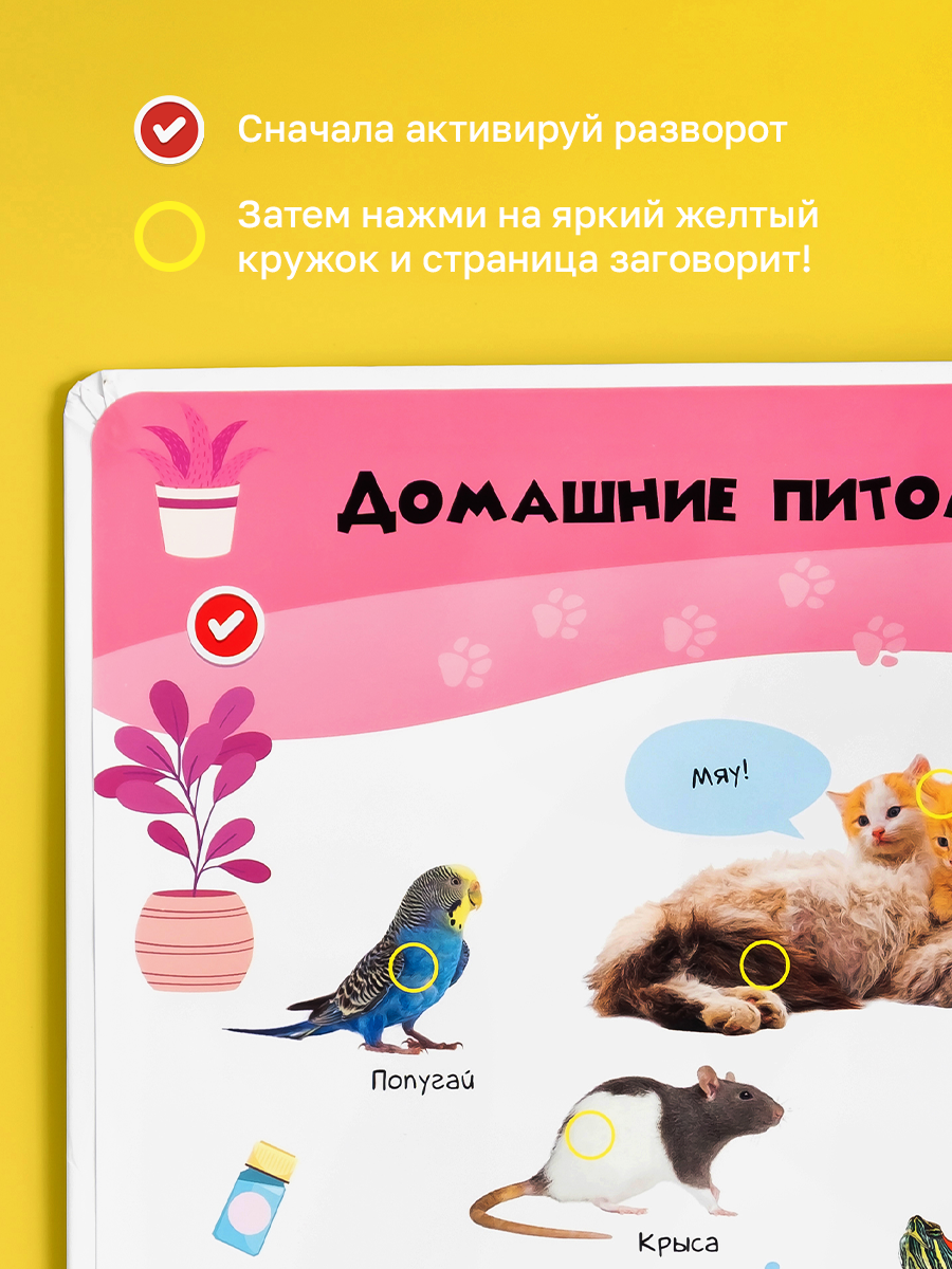 Говорящая книжка Нажималка BertToys Животные - фото 4