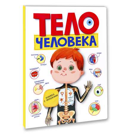 Книжка с окошками Проф-Пресс Тело человека