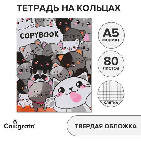 Тетрадь со сменным блоком Calligrata клетка 80 лист.