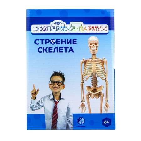 Наглядное пособие ЭКСПЕРИМЕНТАРИУМ