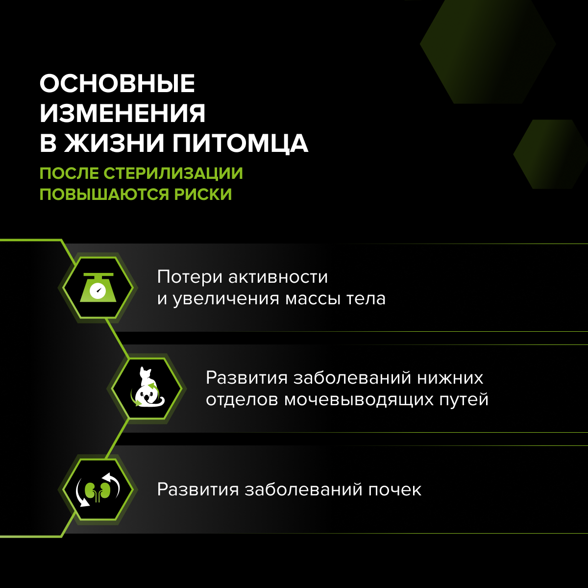 Корм для кошек сухой PRO PLAN Sterilised Adult Delicate Digestion для взрослых стерилизованных кошек с курицей - фото 6