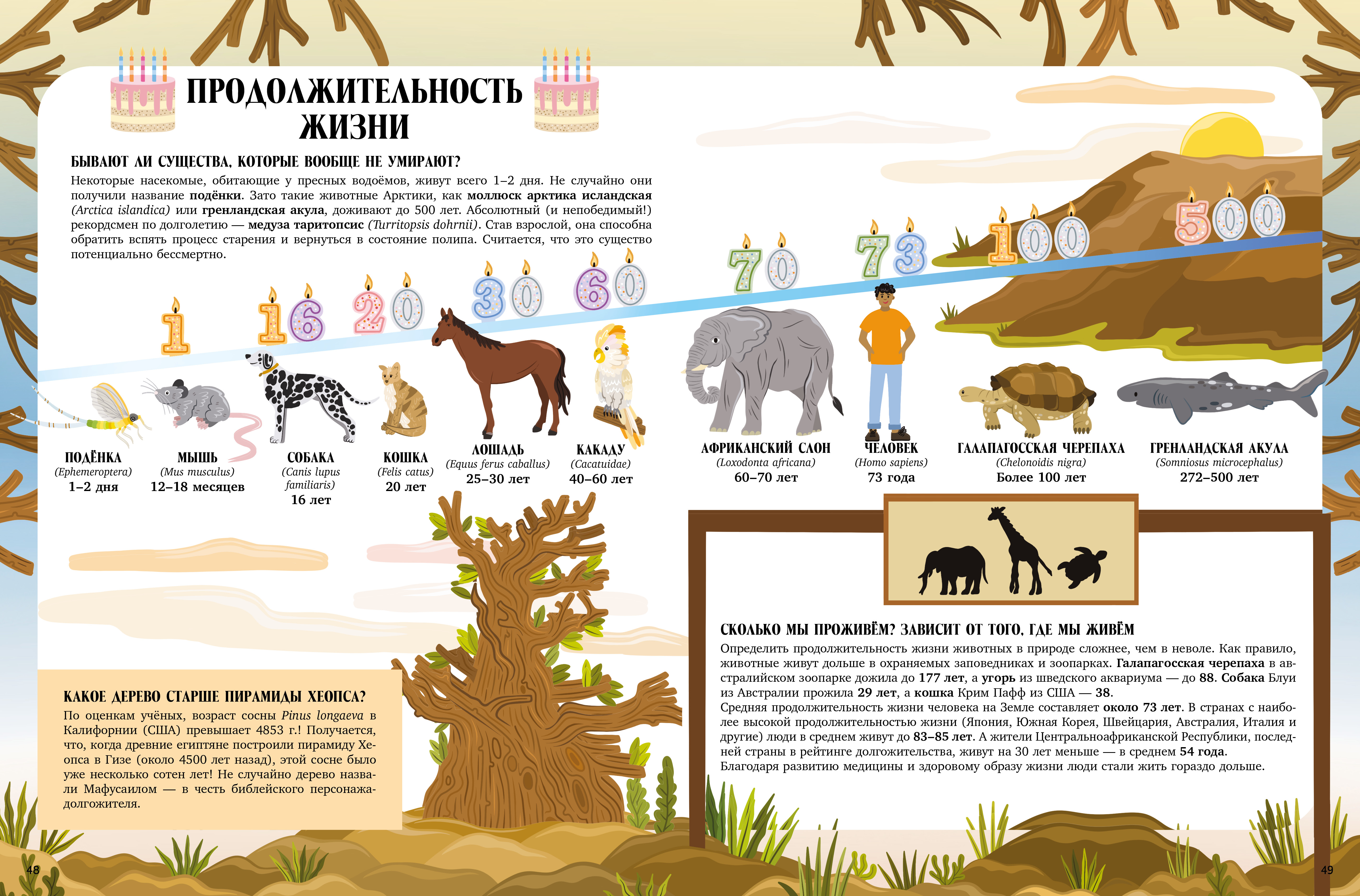 Книга Clever Большая энциклопедия CLEVER - фото 5