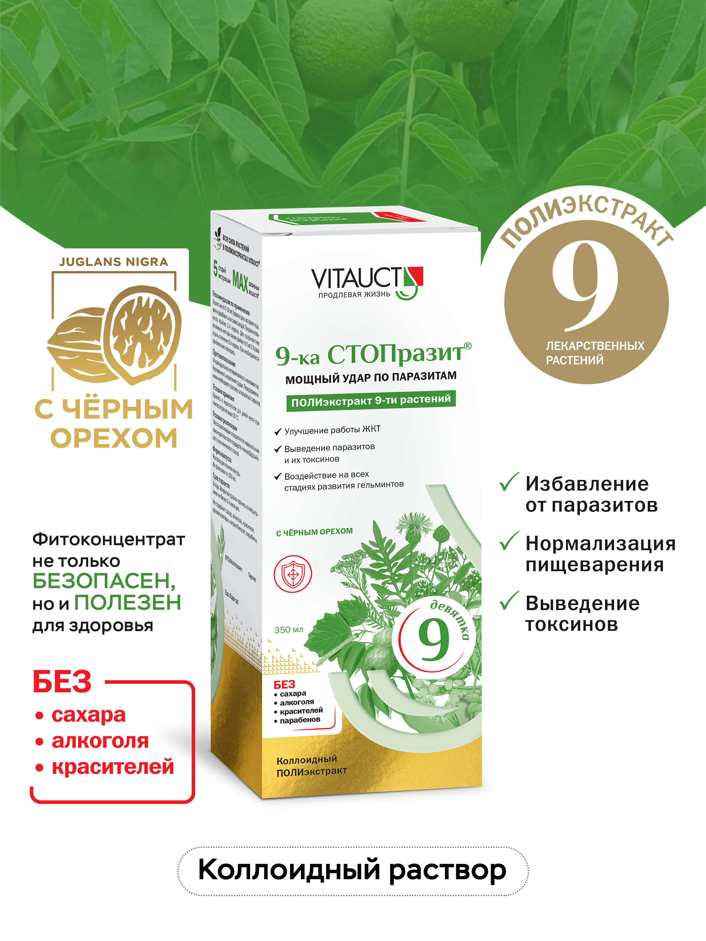 БАД VITAUCT Раствор для приема внутрь Во флаконах по 350 мл - фото 1