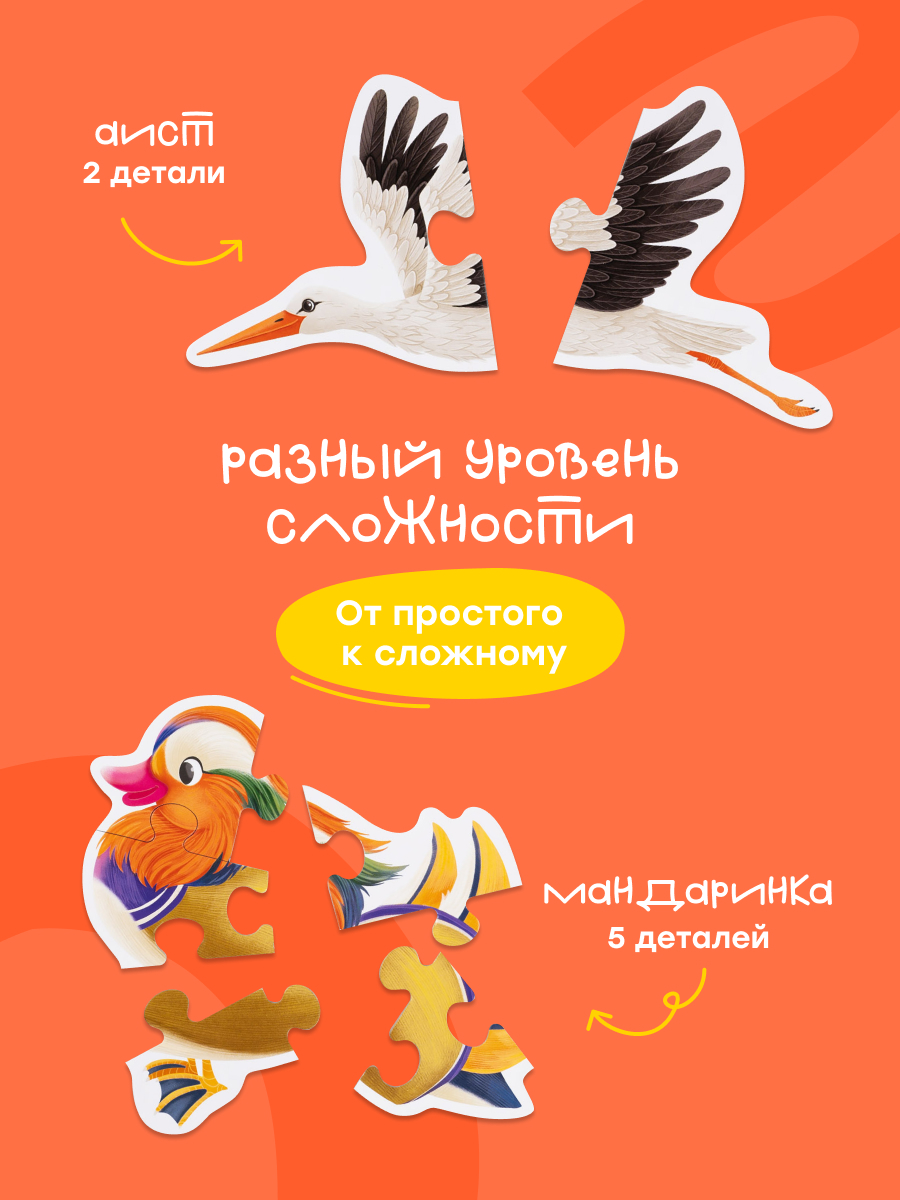 Пазл Харди Гарди Птицы классический - фото 4