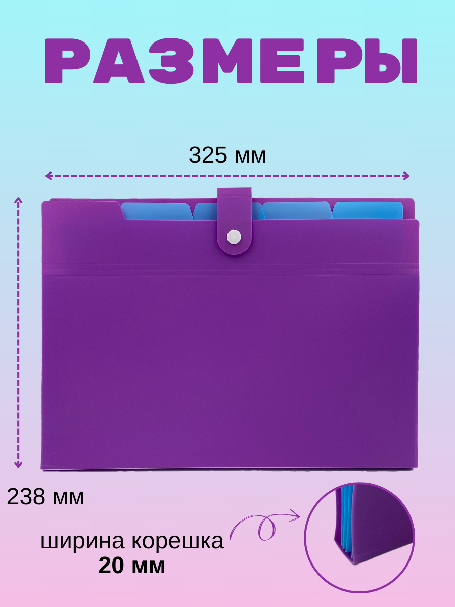 Папка-органайзер AXLER с разделителями А4 - фото 2