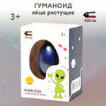 Набор для выращивания Attivio Яйцо растущее Гуманоид
