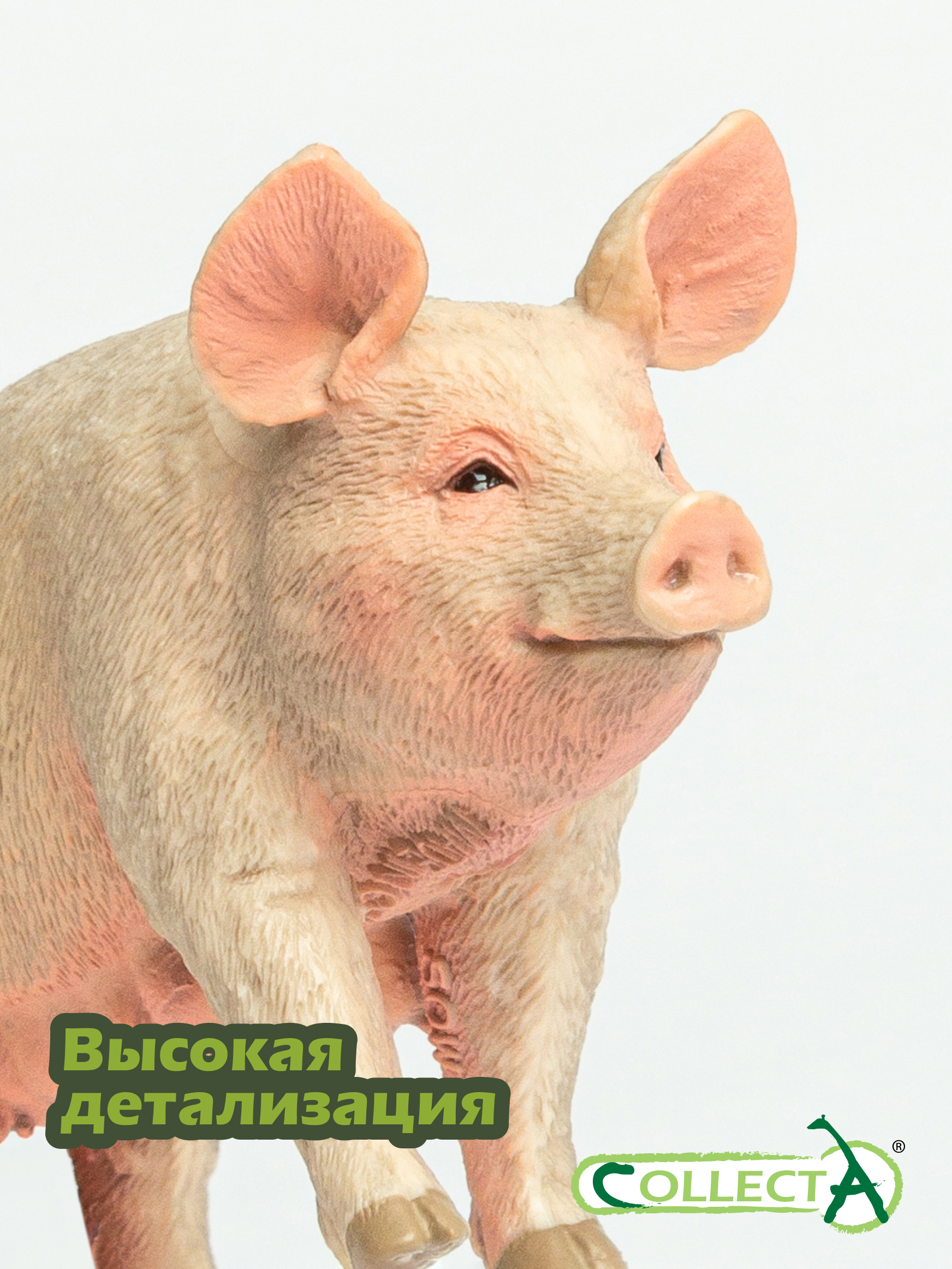 Фигурка Collecta Свинья - фото 3