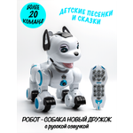 Робот РУ Zhorya новый Дружок