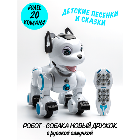 Робот РУ Zhorya новый Дружок