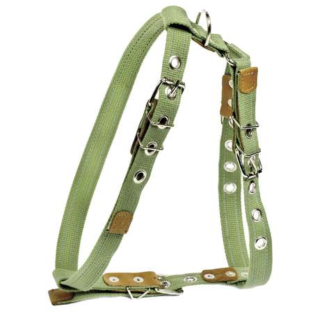 Шлея для собак CoLLar средних пород тесьма 0637