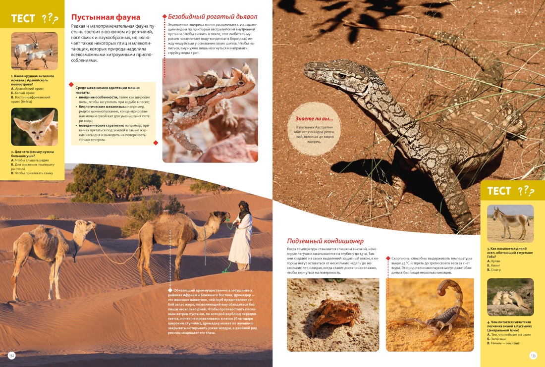 Книга Махаон Энц Планета Земля Факты и фотографии - фото 13