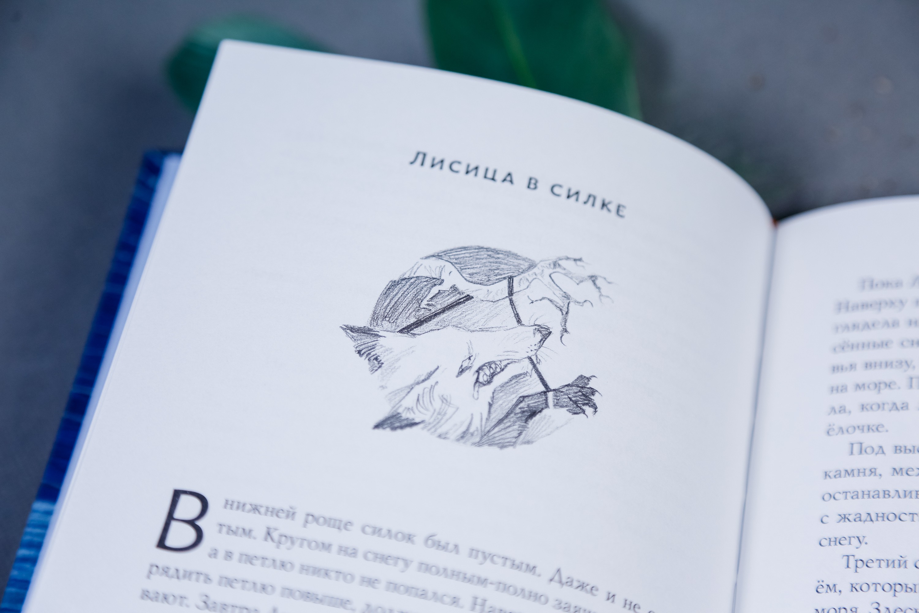 Книга Волчок Кубырь Кубырок - фото 4