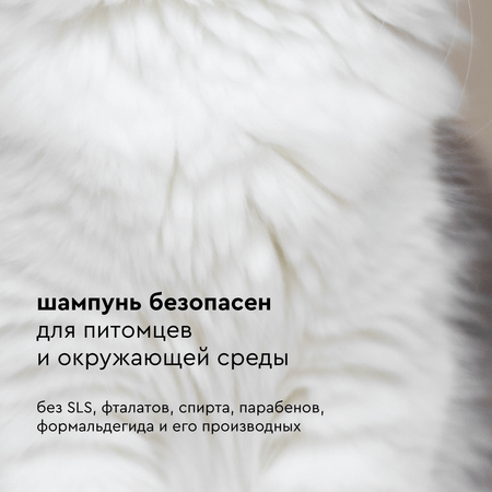 Шампунь для кошек Pamilee с эффектом кондиционера
