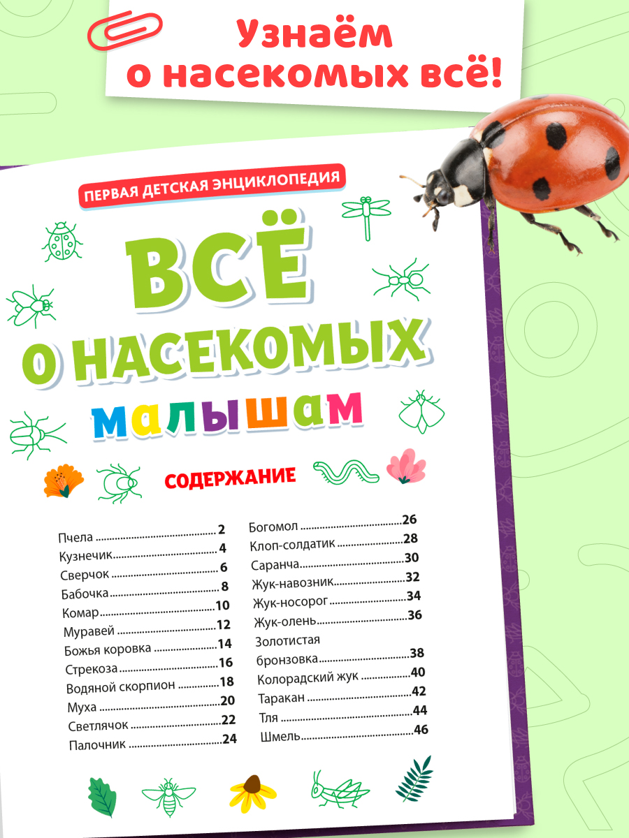 Книга Проф-Пресс Первая детская энциклопедия Всё о насекомых малышам - фото 3