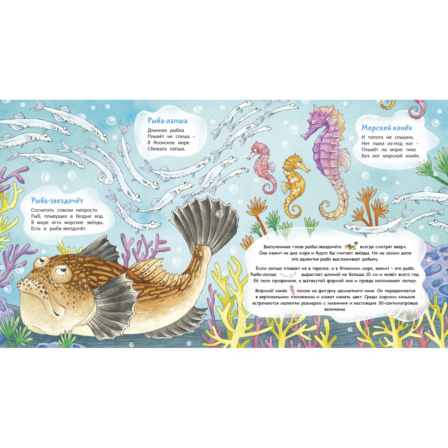 Книга ЭНАС-книга Морской звездочёт и другие удивительные рыбы - фото 4