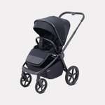 Коляска прогулочная Rant Flex Color черный
