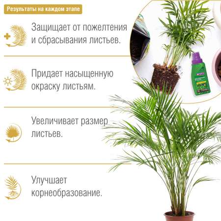 Жидкое удобрение Bona Forte Здоровье Для фикусов и пальм 285 мл