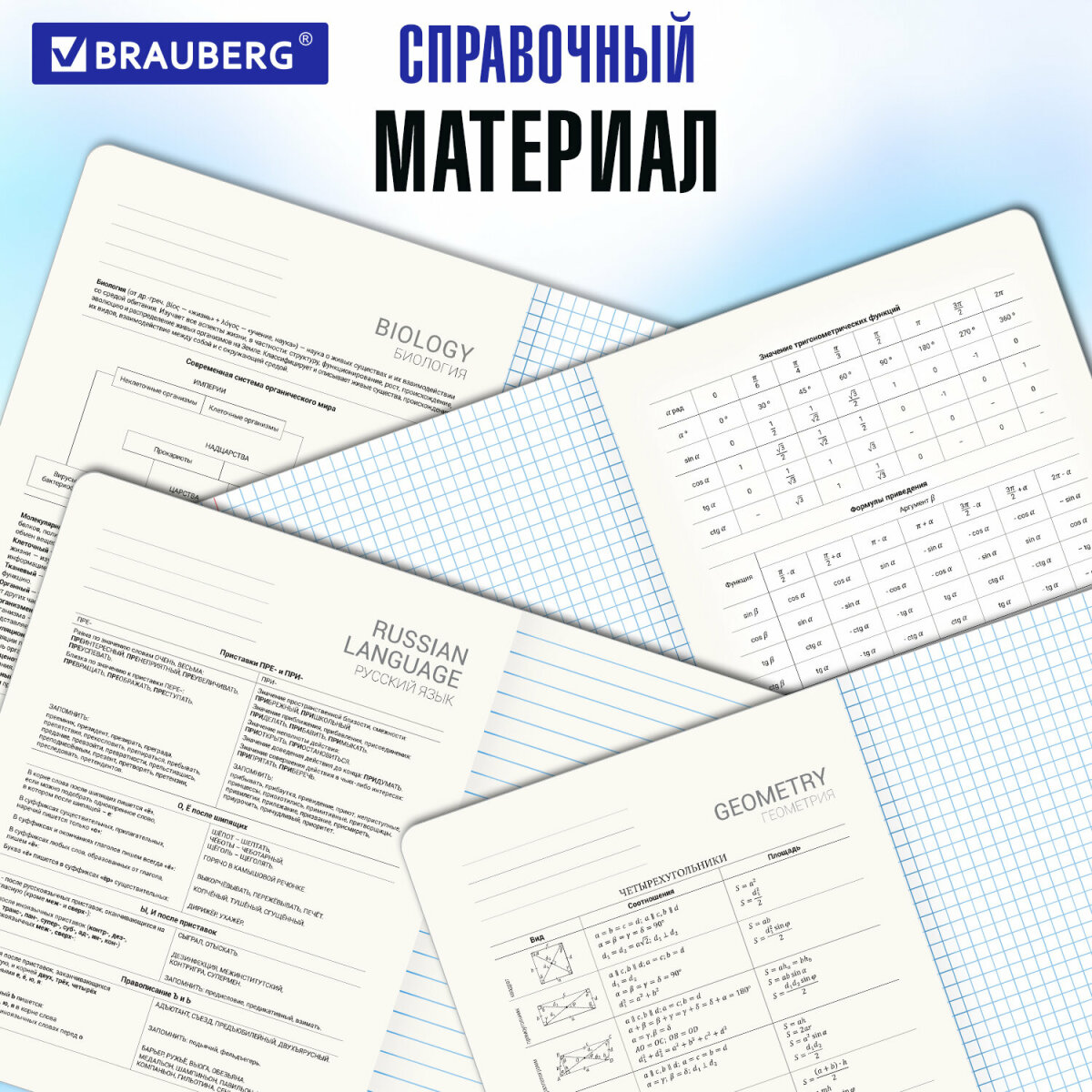 Тетрадь Brauberg 48 лист. 12 шт. - фото 6
