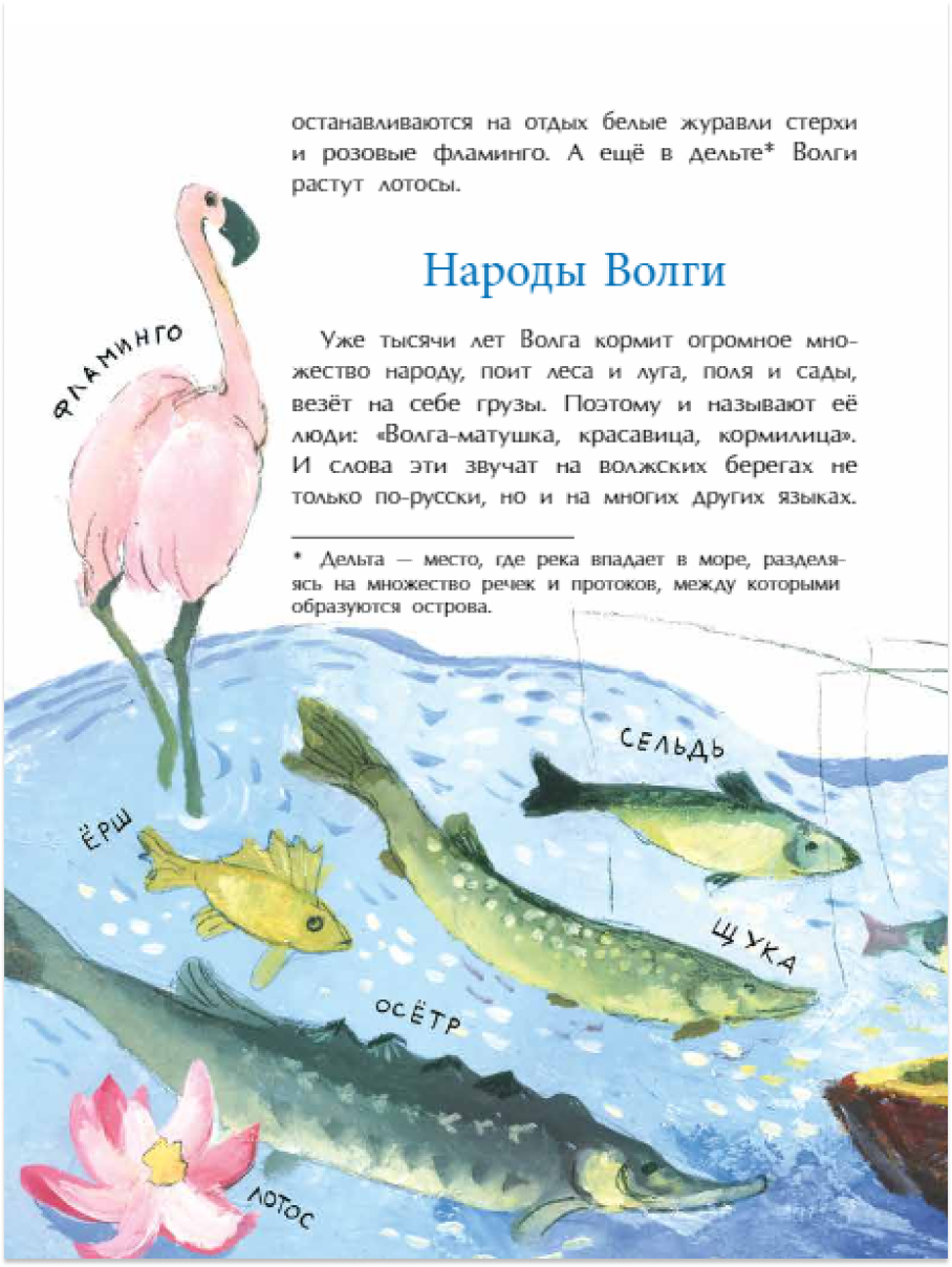 Книга для детей Настя и Никита развитие детей - фото 5
