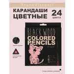 Карандаши цветные Bruno Visconti 24 шт.