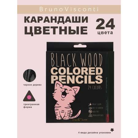 Карандаши цветные Bruno Visconti 24 шт.