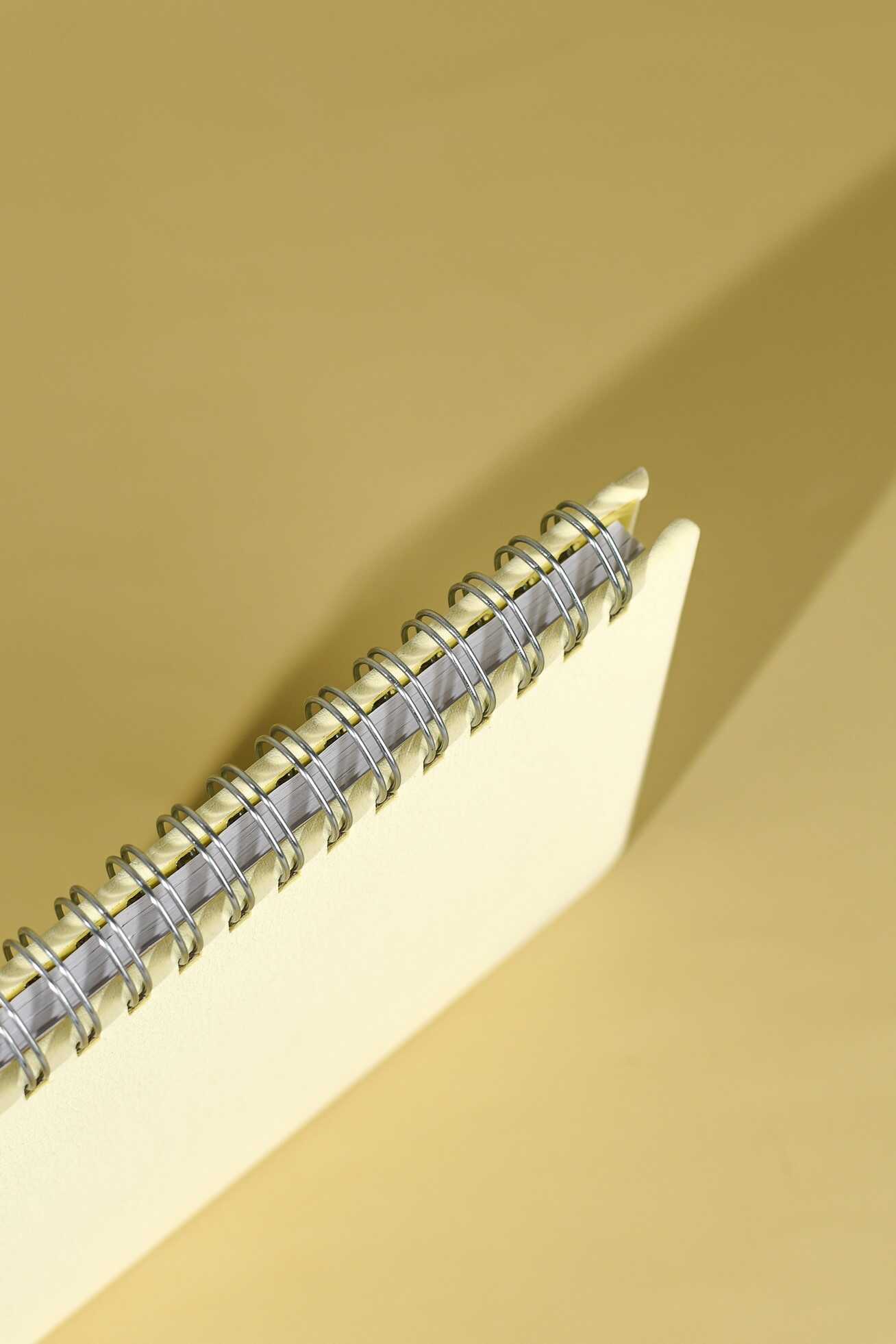 Ежедневник Феникс + ESCALADA 68 лист. - фото 6