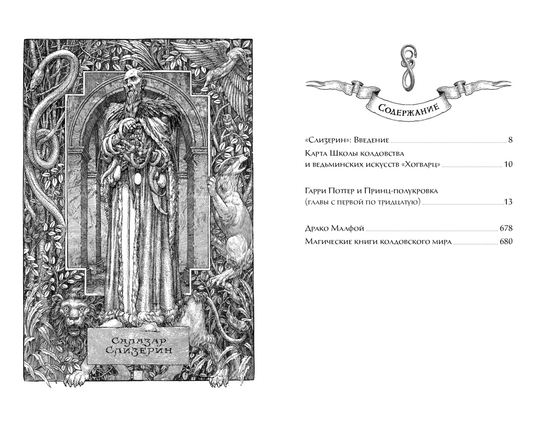 Книга Махаон Роулинг Дж.К. Гарри Поттер и Принц-полукровка (Слизерин) - фото 3
