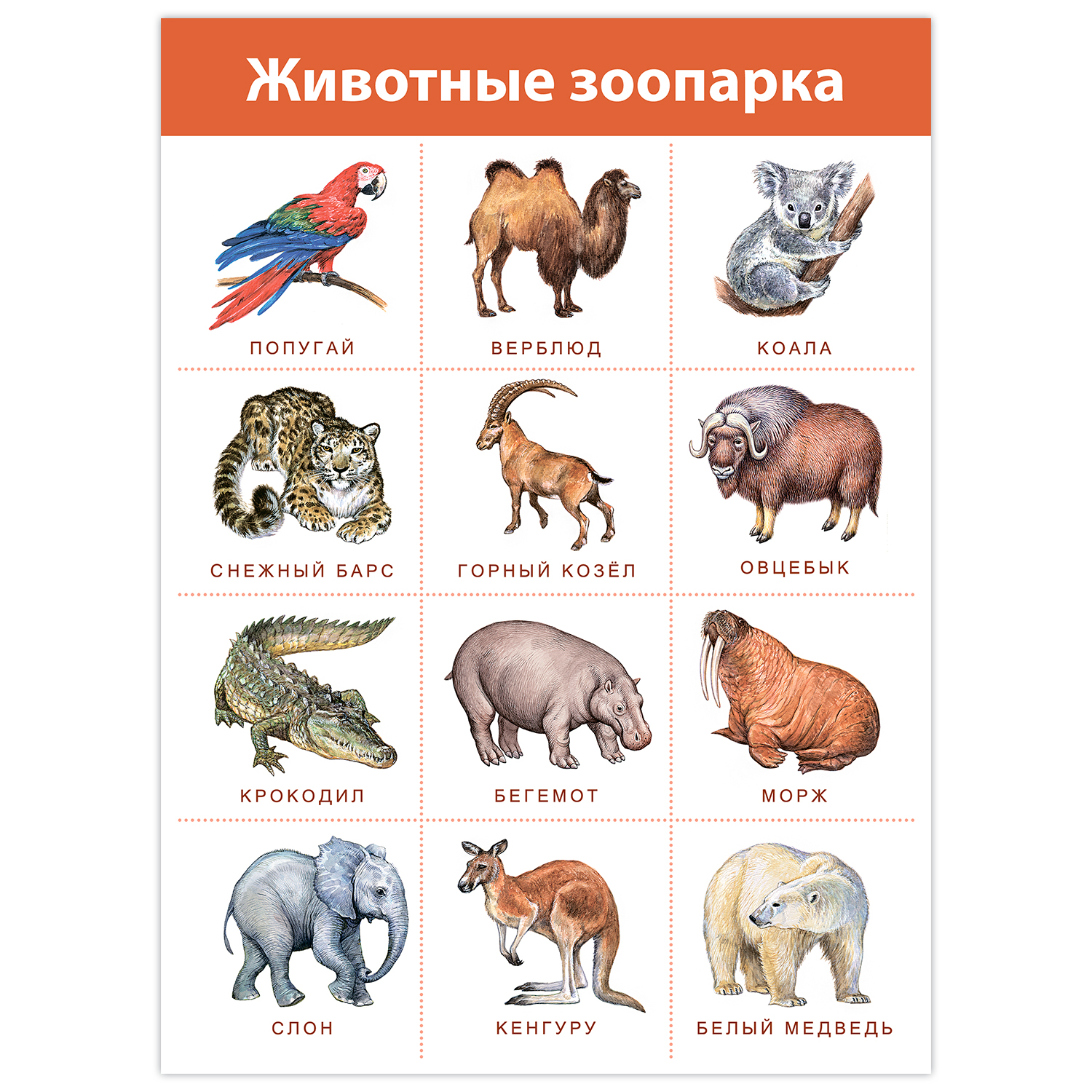 Настольная игра Дрофа-Медиа - фото 7