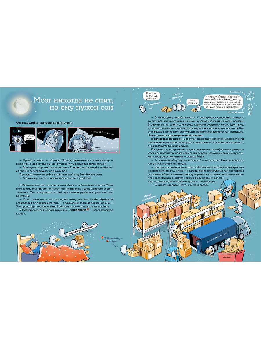 Книга Альпина. Дети Что такое человек? Записки любознательного хомяка - фото 3