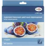 Карандаши акварельные Гаммa 48 шт.